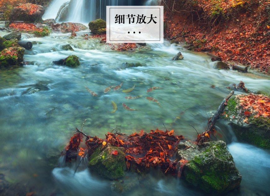 赏茶景品茶香吃茶饭 找寻茶香里的“贵州胃”